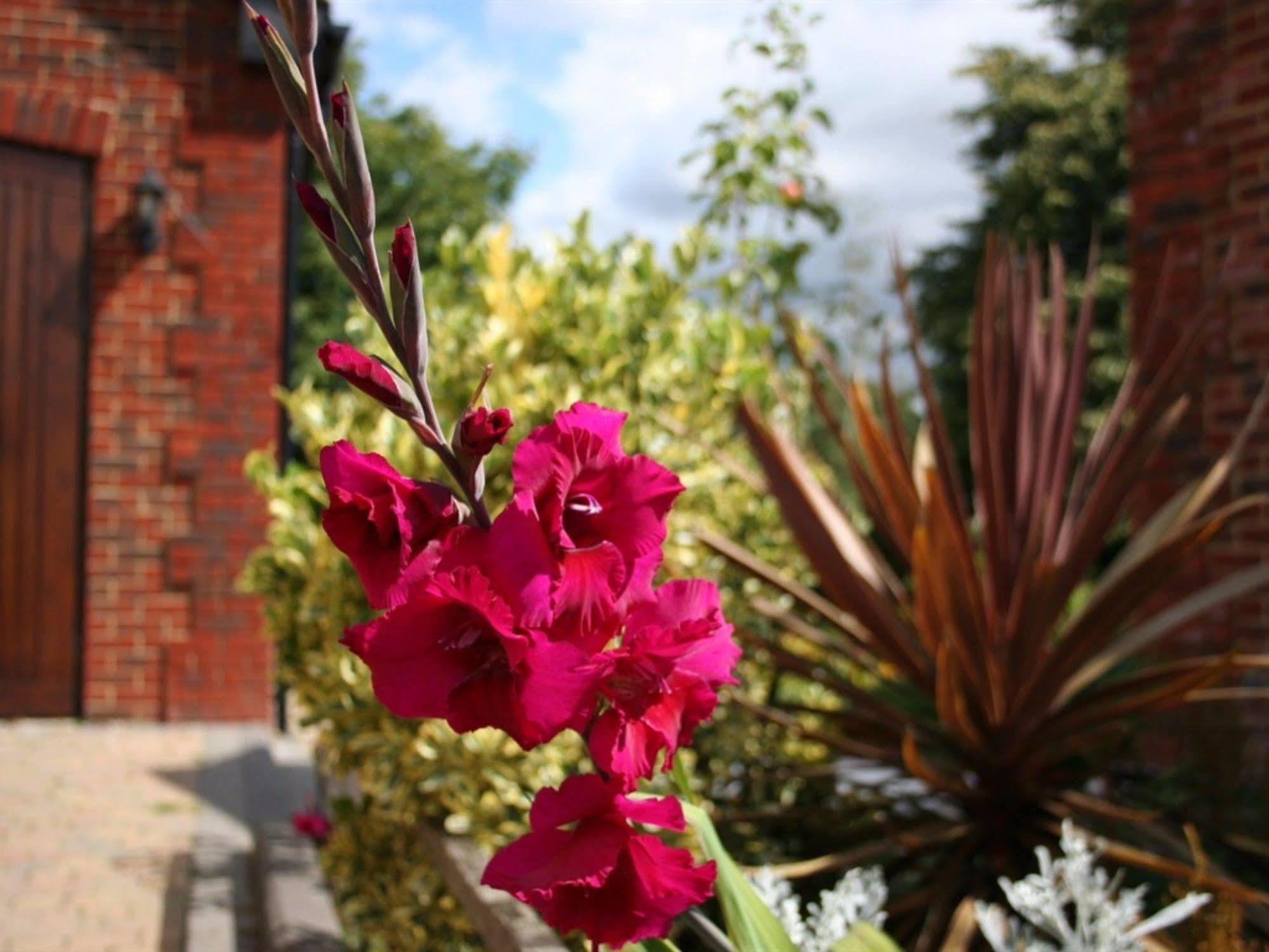 Millers House Boutique B&B Emsworth Eksteriør bilde